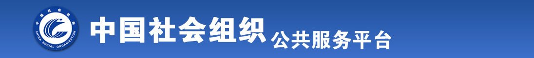 打几把插逼视频全国社会组织信息查询